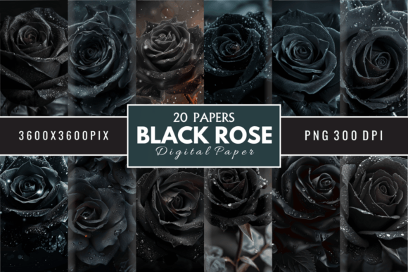 Elevate Your Creative Vision with Black Rose Digital Papers Backgrounds